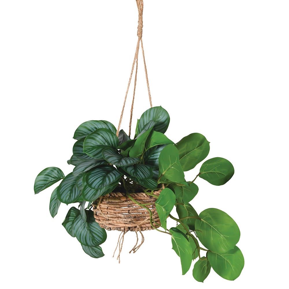 Faux Hanging Calathea Plant