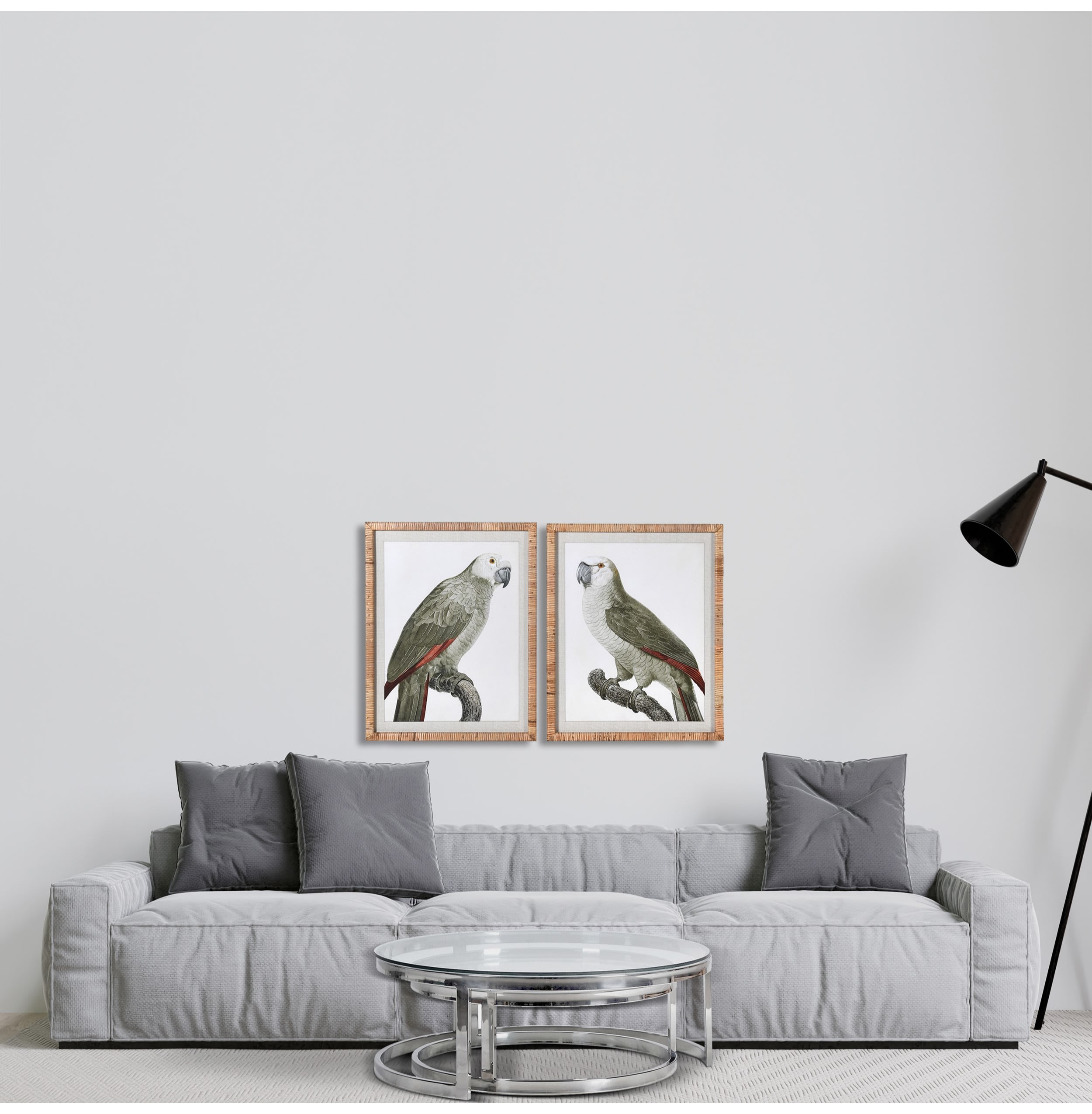 Set of 2 Grey Parrot Prints