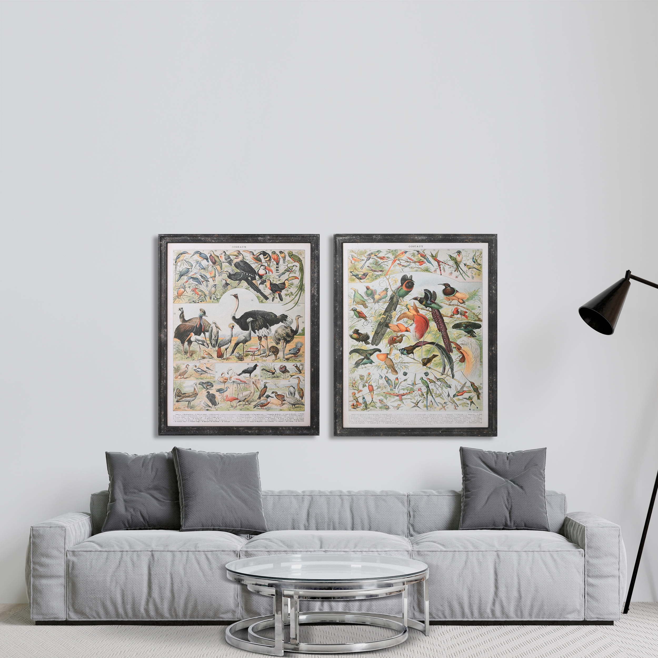 Vintage Bird Wall Print