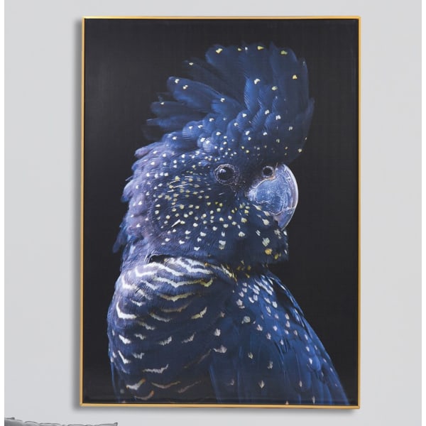 Night Sky Blue Parrot Framed Wall Picture