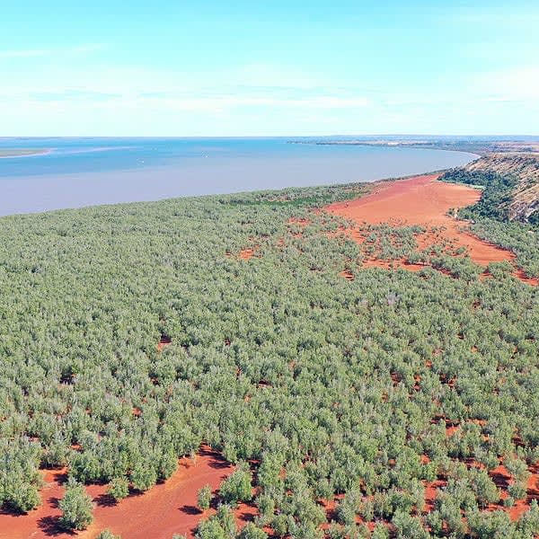 Coach house environment eden project