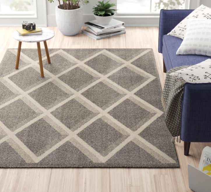 Chad Rug 572