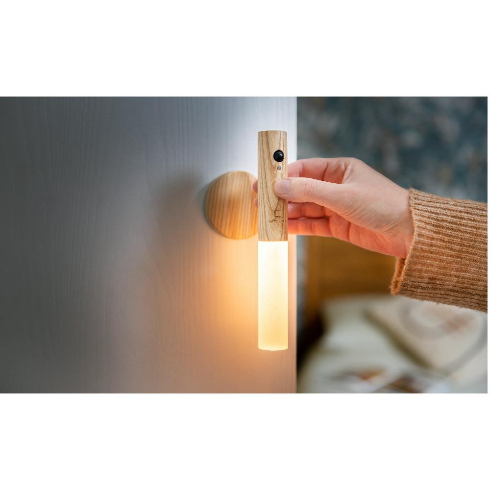 gingko smart baton light