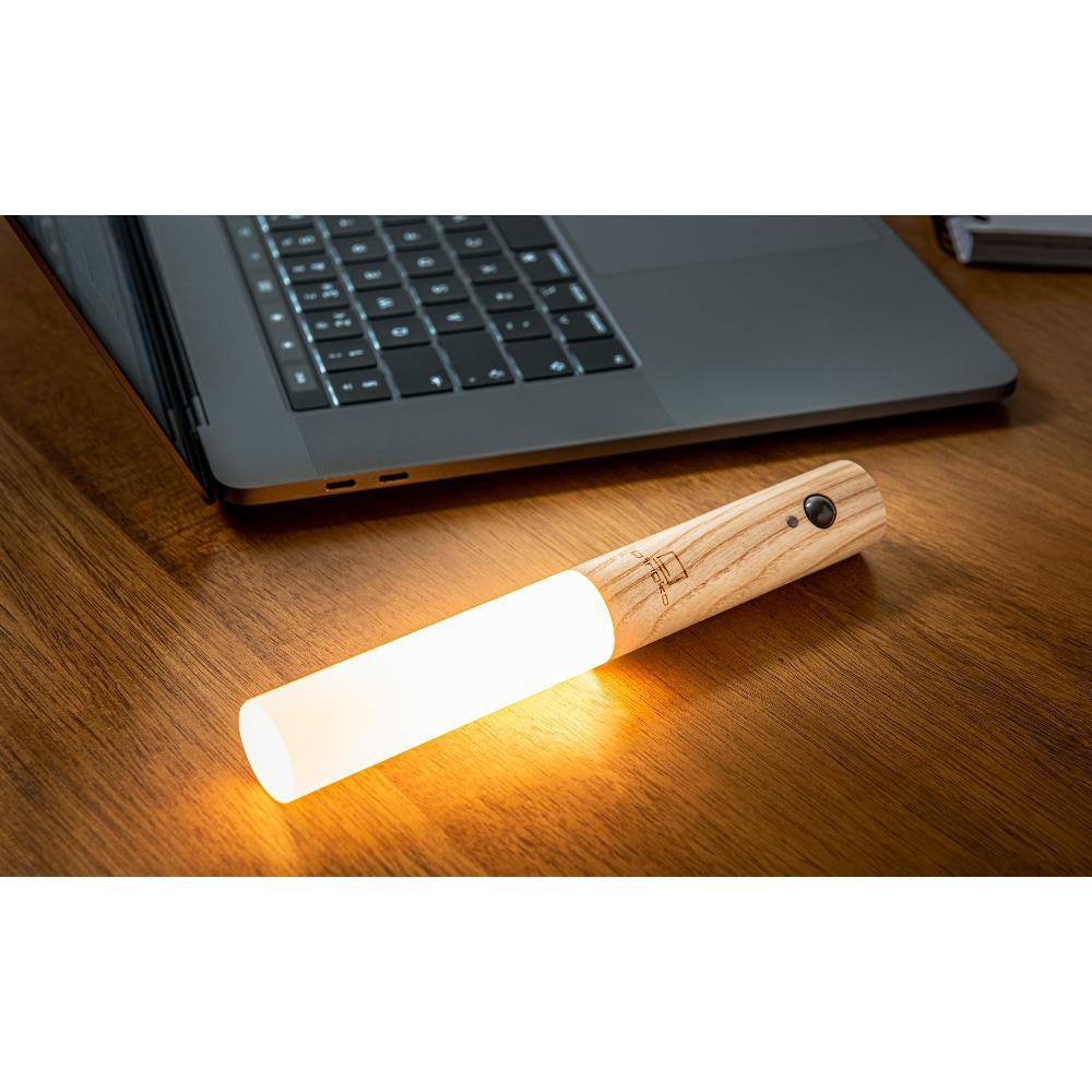 gingko smart baton light