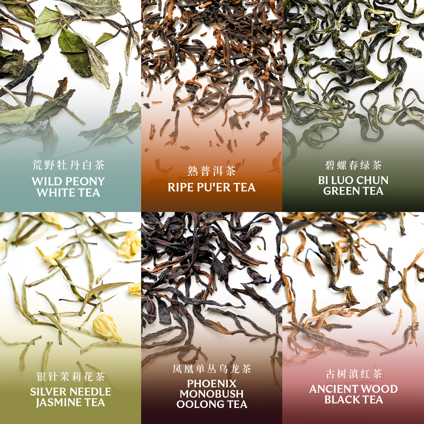 First Infusions