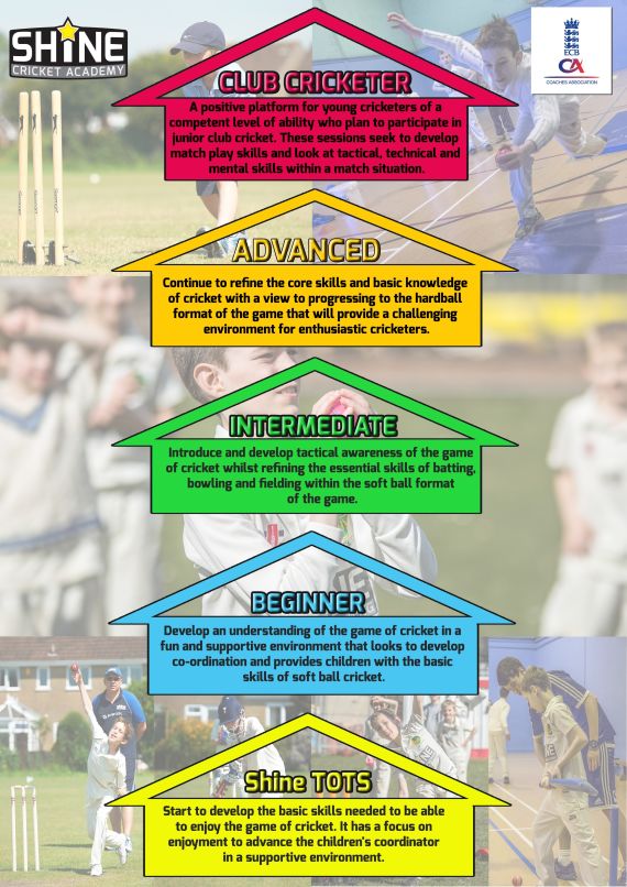 Cricket Progression Chart