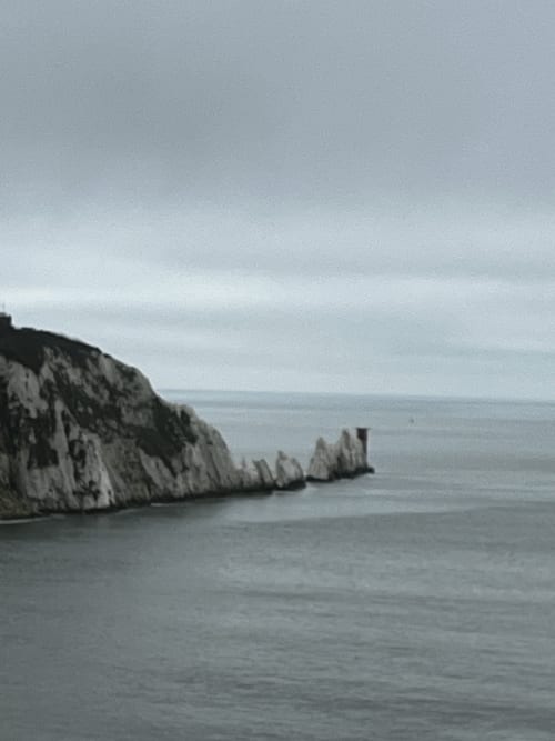 The needles