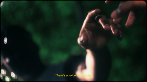 No Sound, Jamesly - Image5