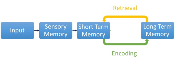 Levels of Processing Model & Theory | EdApp Microlearning