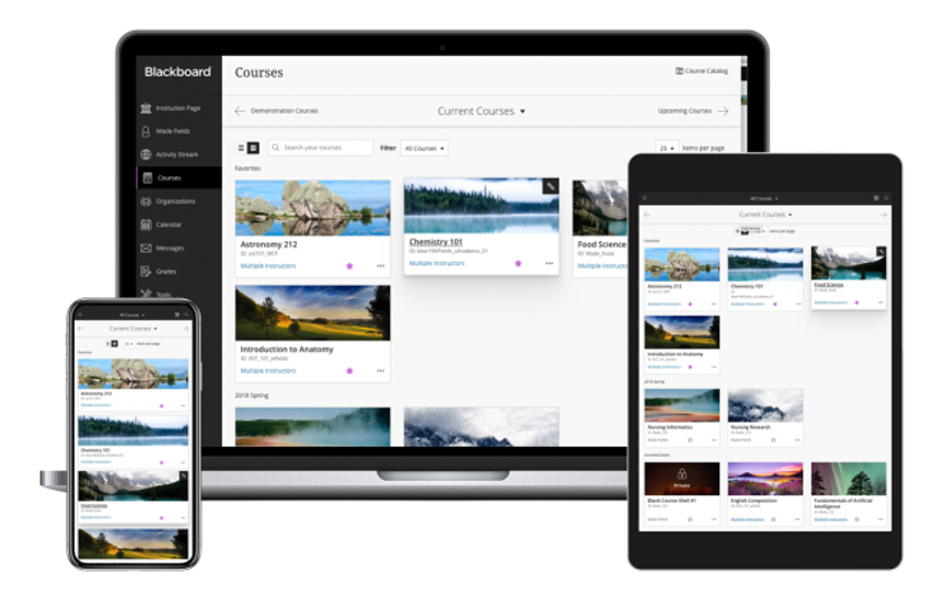 Blackboard Educational Platform
