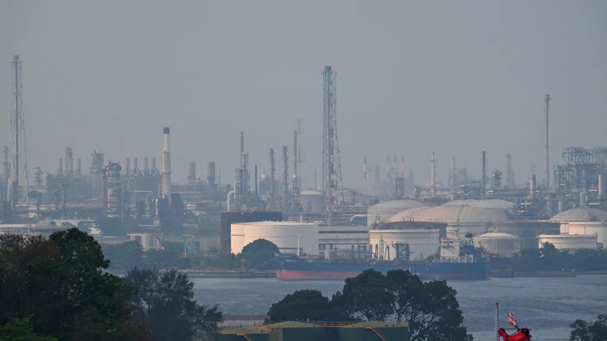 Indonesia's gas cut barely dents Singapore demand - indonesia gas cut