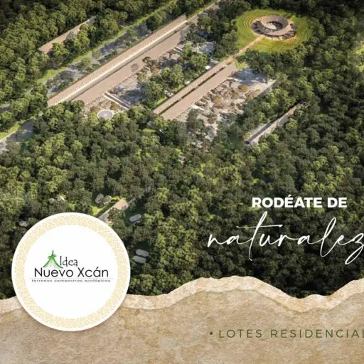 diseño de brochure