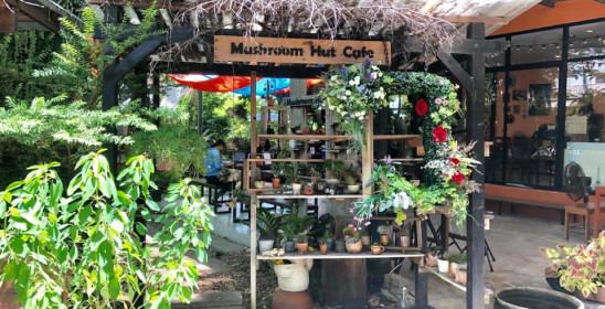 Mushroom Hut Cafe