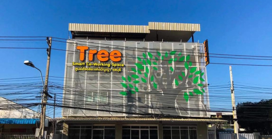 Tree ศูนย์อัจฉริยะแห่งปัญญา ชลบุรี