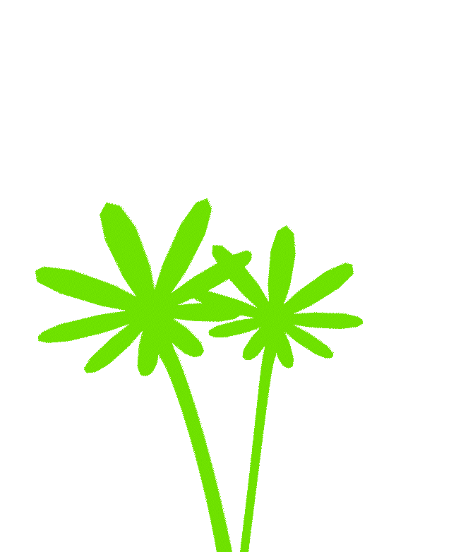 Flourish Image