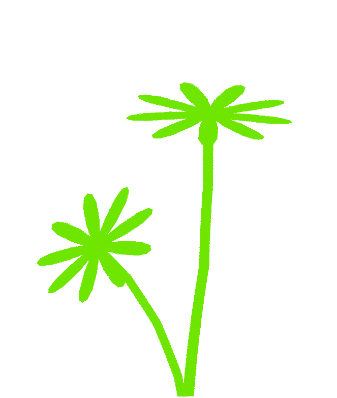 Flourish Image