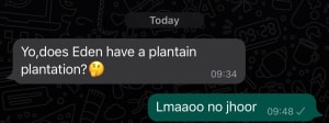 best plantains from Eden?