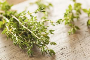thyme