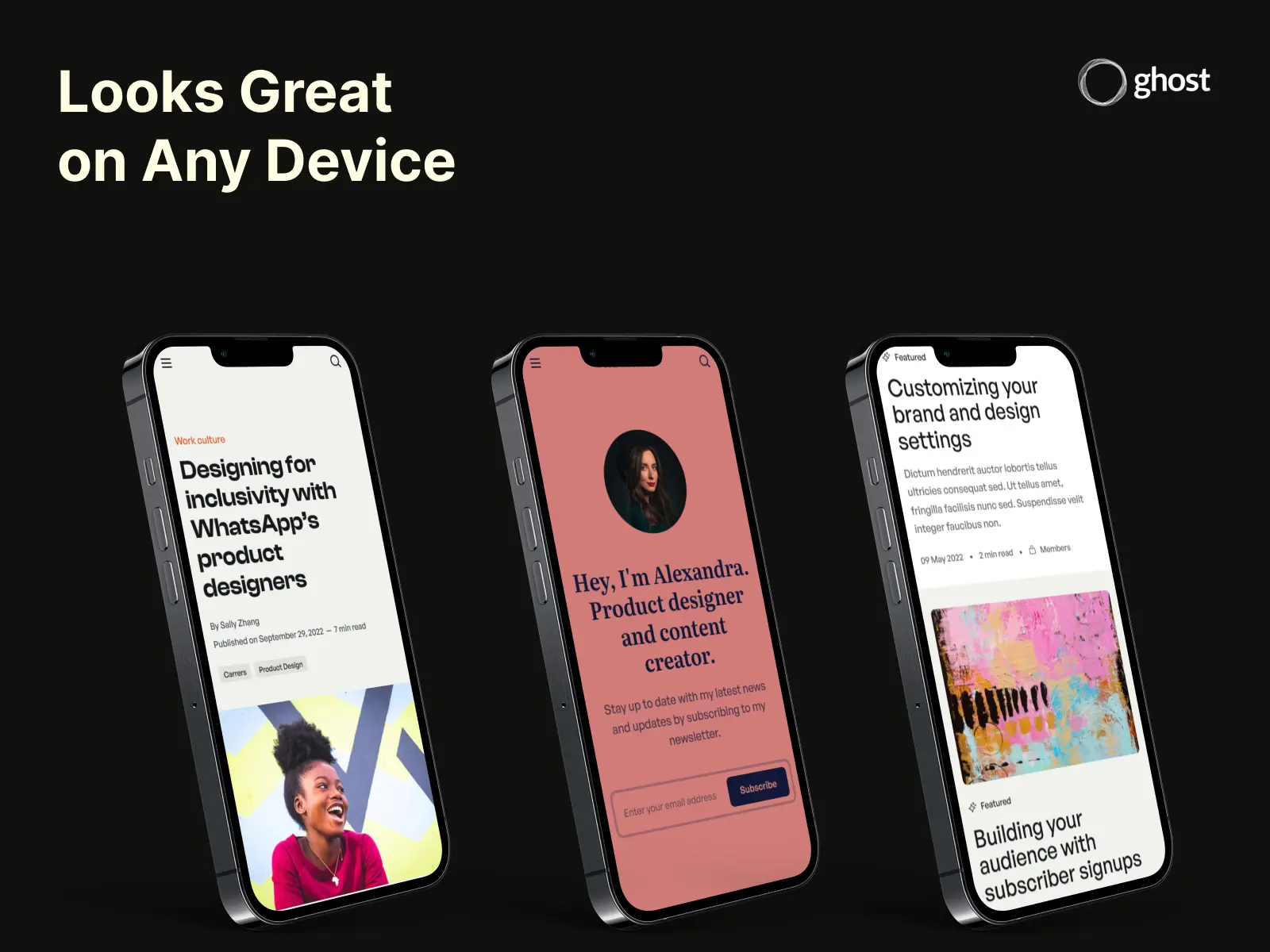 All the theme templates display perfectly even on mobile devices.