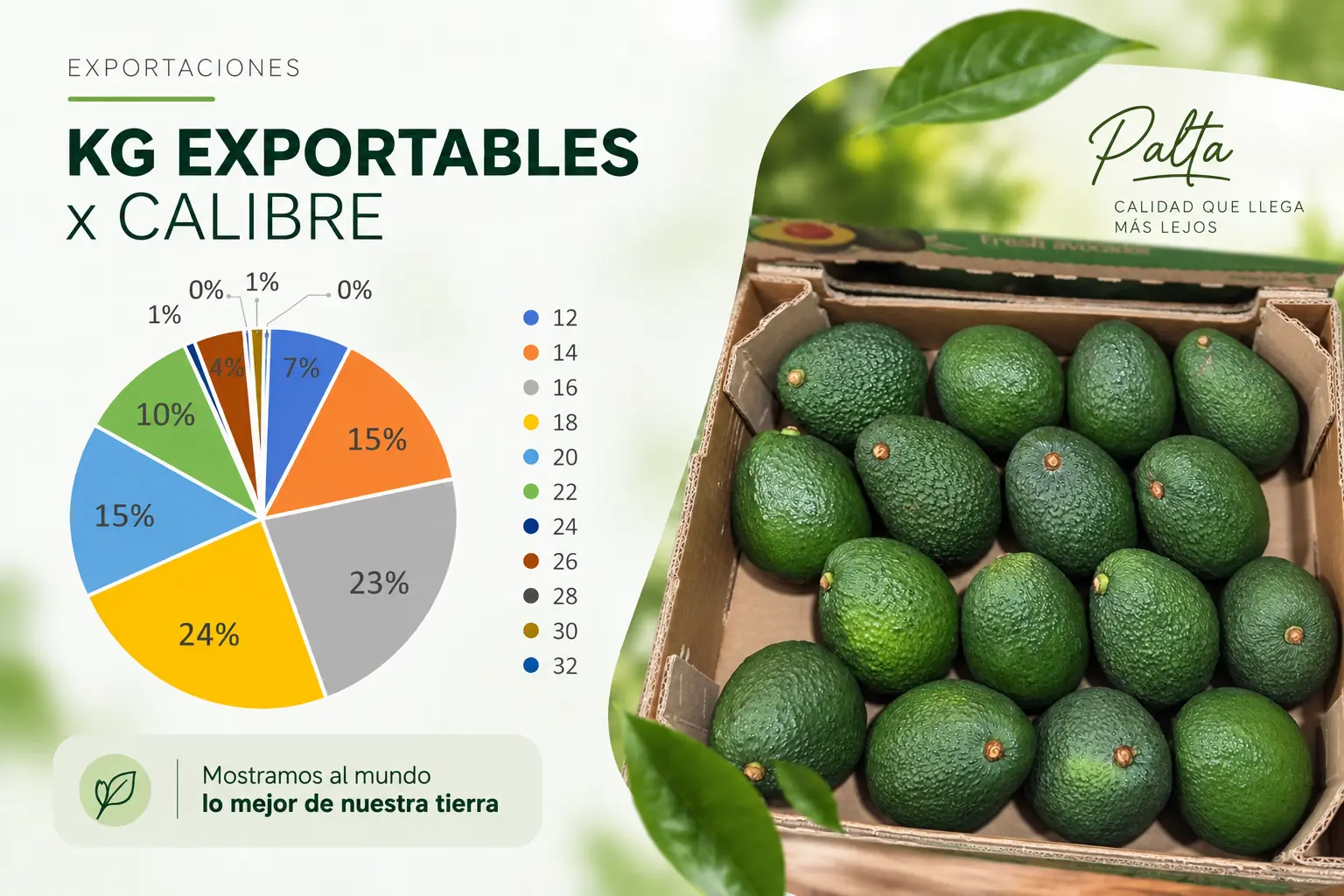 Despacho y distribución de productos