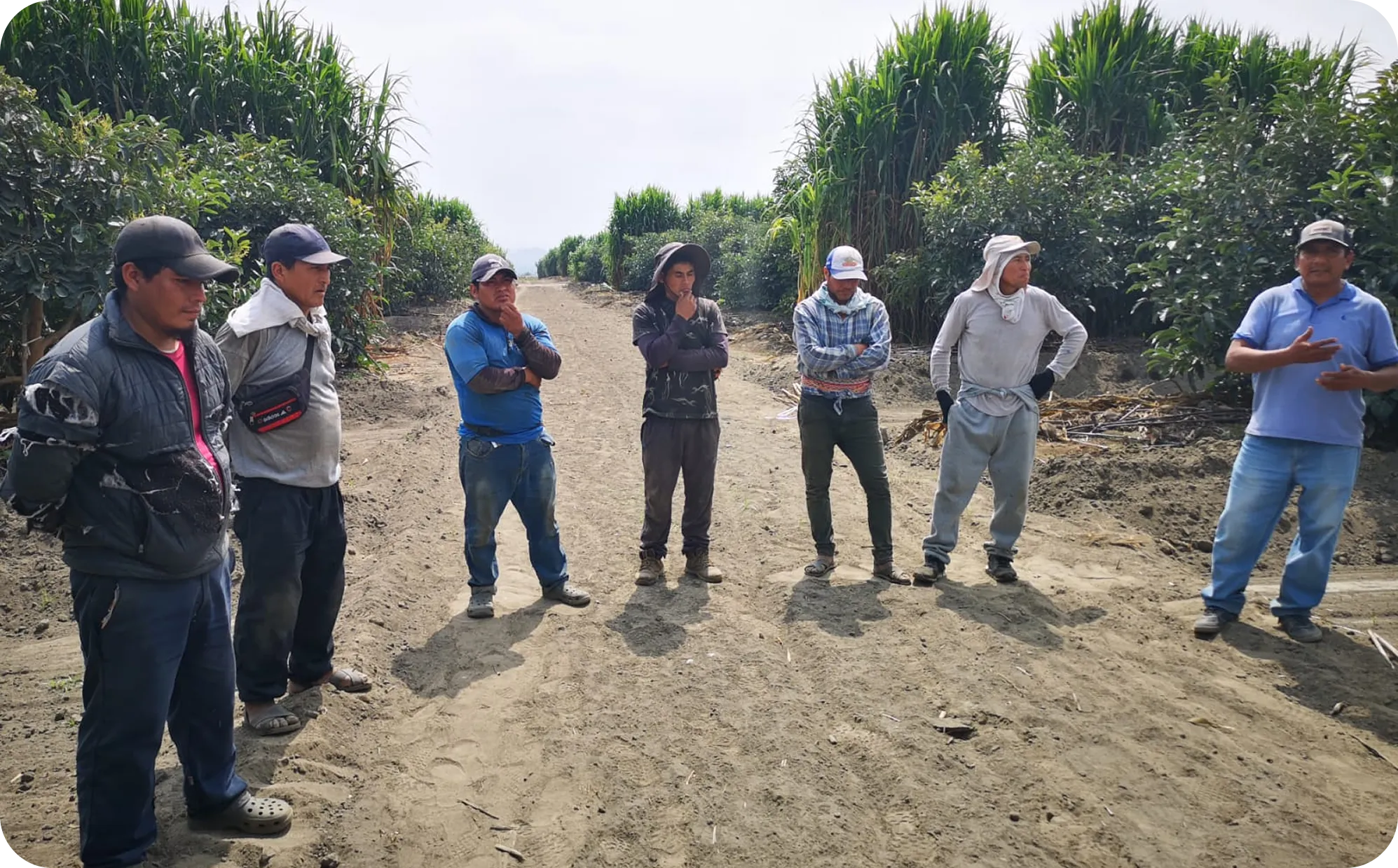 Personal capacitado de Agrícola El Socorro