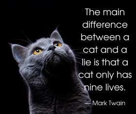 The main difference between a cat and a lie is that a cat only has nine lives—Mark Twain