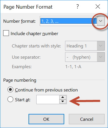 Image: showing page number dialog in Microsoft Word