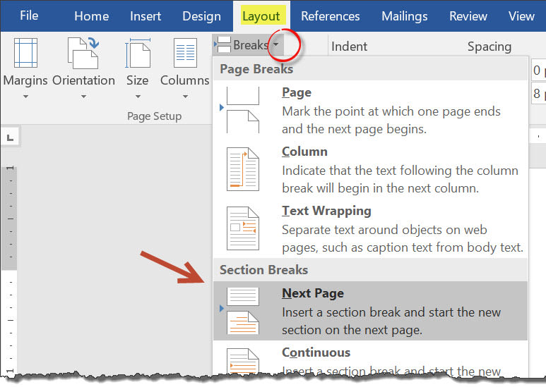 Image: showing the insert page break dialog in Microsoft Word