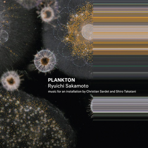 Plankton