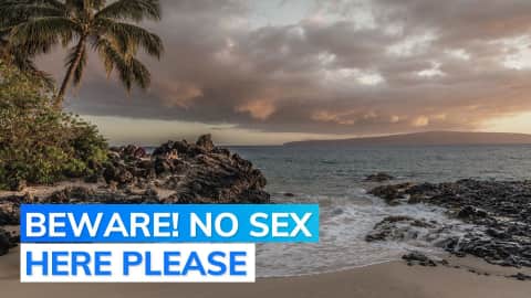 Hawaiian Beach Sex - Netherlands launch's â€œProject Oranjezonâ€ to stop nudist beach visitors from  sexual acts | Editorji