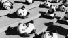 Intro to Pandas: What Are Pandas Series Objects?
