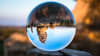 Intro to Image Augmentation: How to Use Spatial-Level Image Transformations 