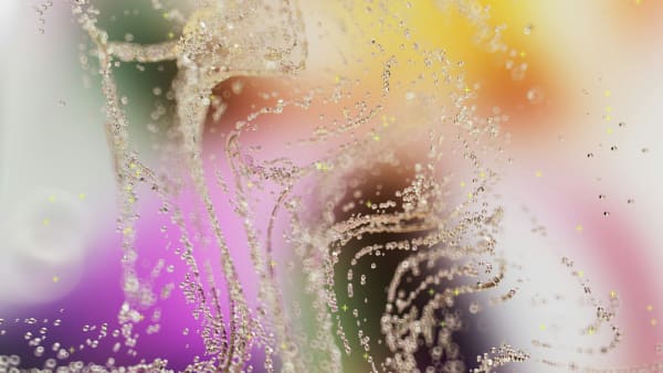 Nano Banana: The Newest AI Image Model from Google