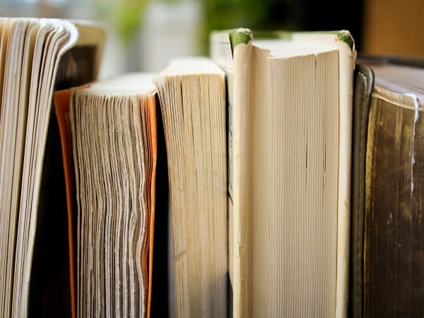 Intro to Programming: What Are Dictionaries in Python?