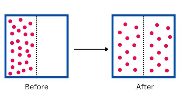 Diffusion Example