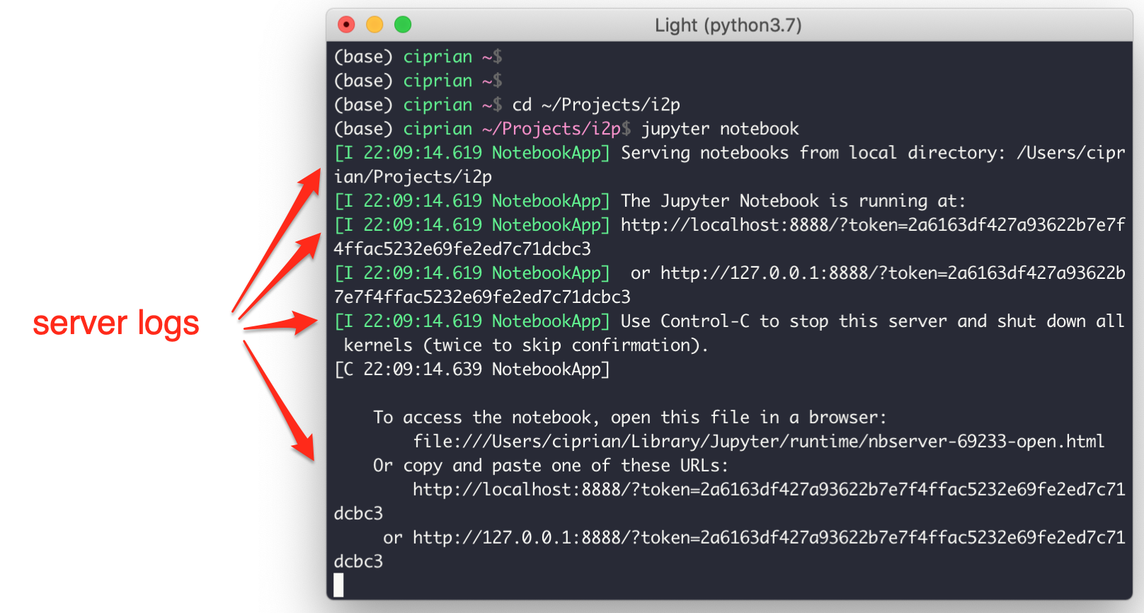 Image pointing out server logs for Jupyter notebook