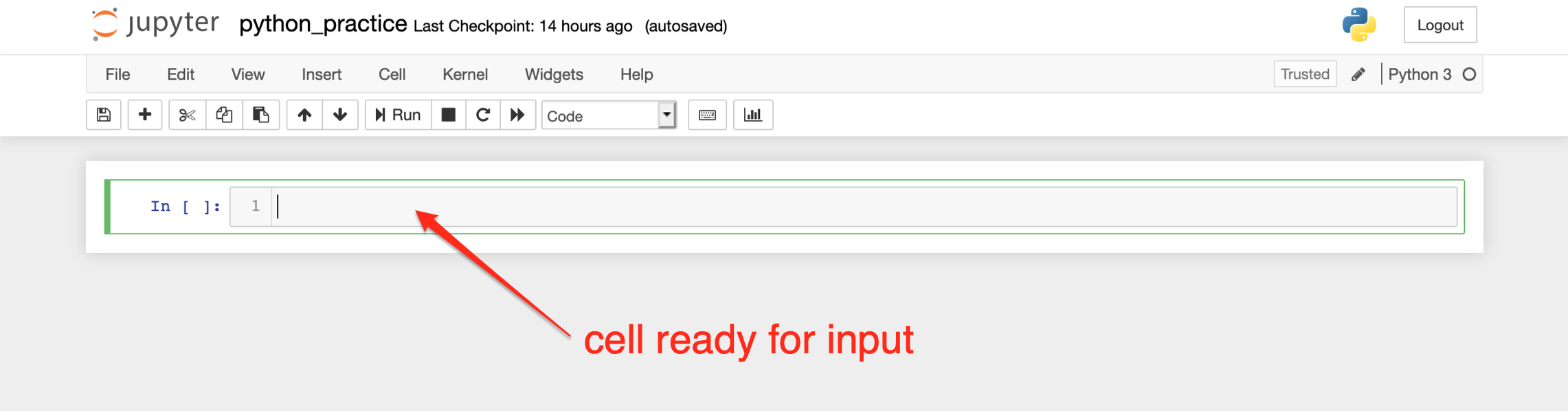 Jupyter notebook cell ready for input