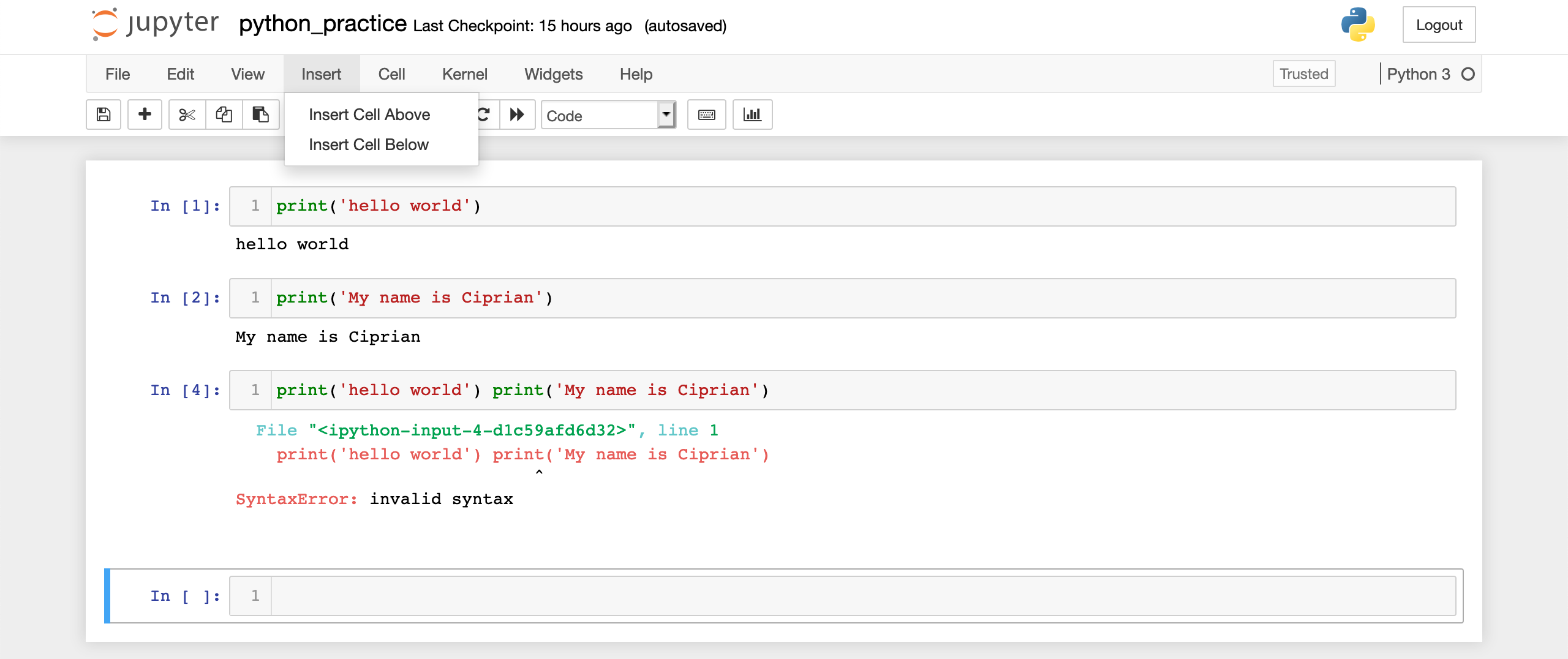 The insert menu in Jupyter notebook