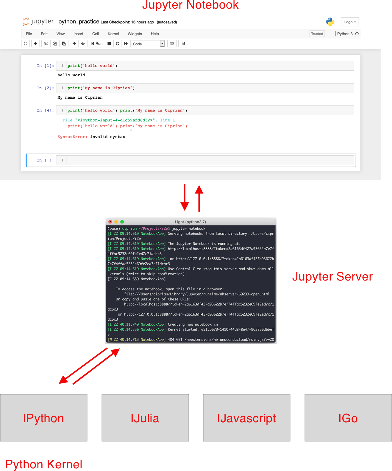 the interaction between the Jupyter notebook, the notebook server and the kernel