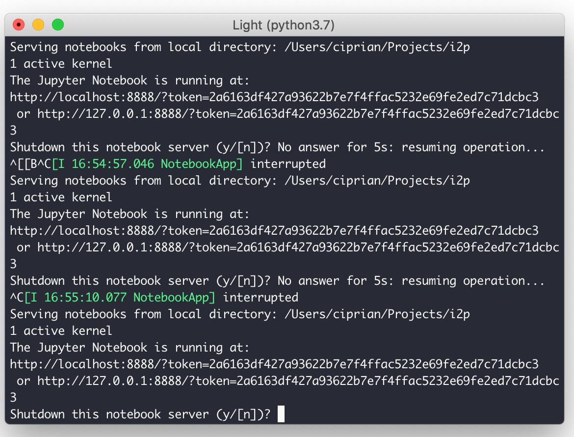 Shutting down a Jupyter notebook