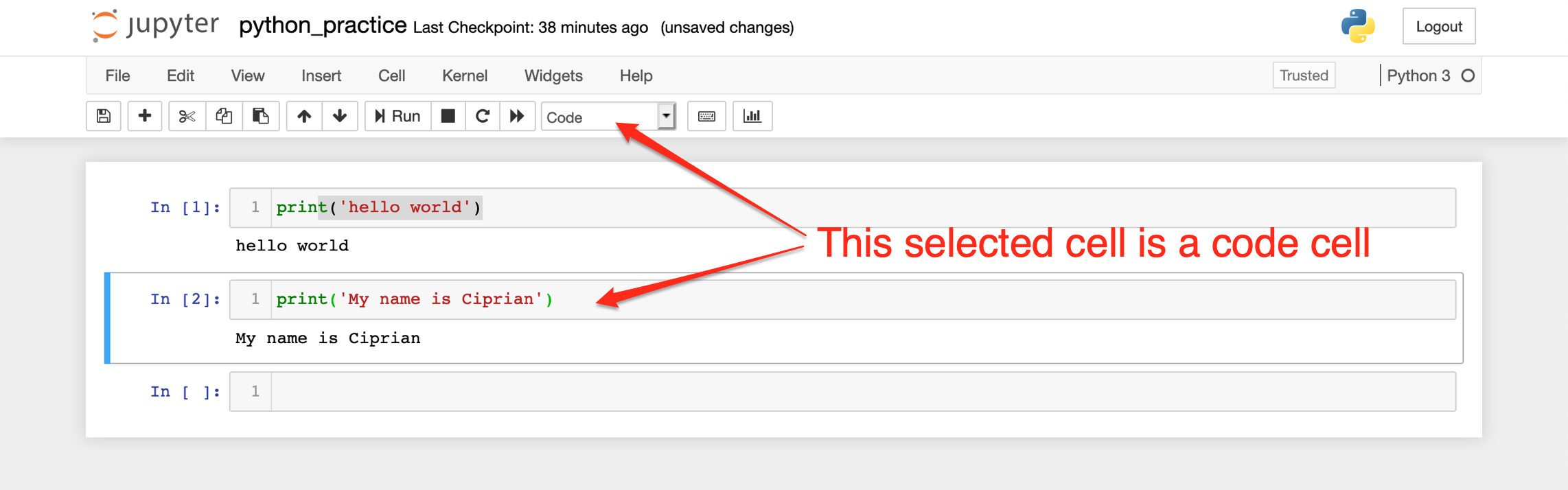 Example of a code cell in Jupyter notebook