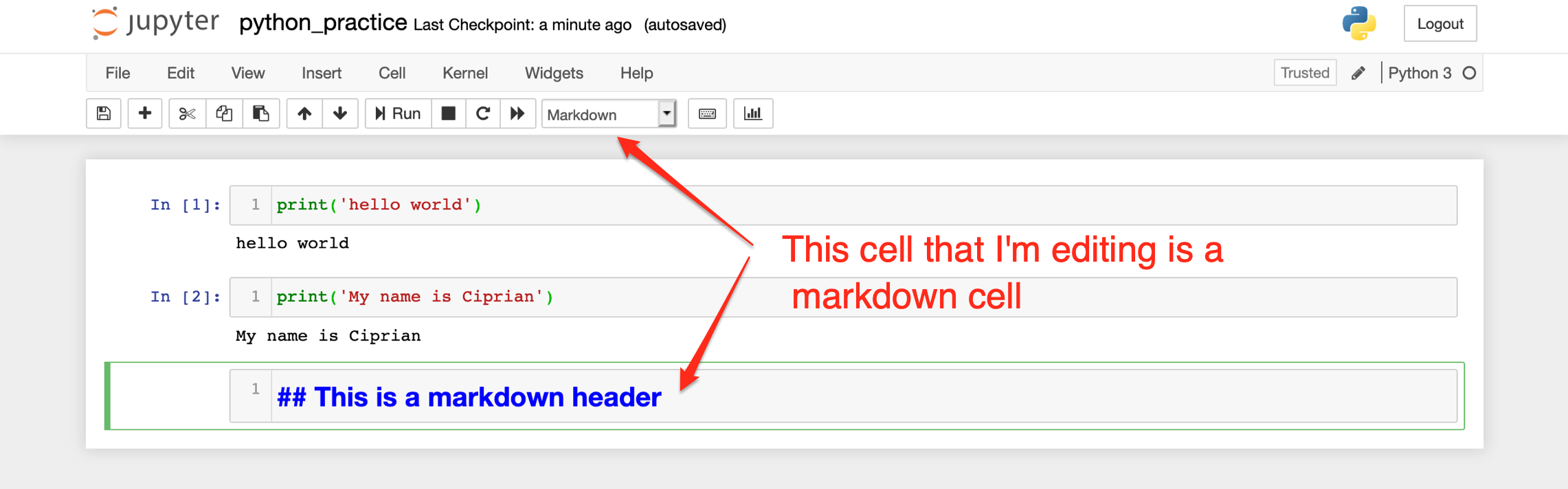 Example of a markdown cell in Jupyter Notebook