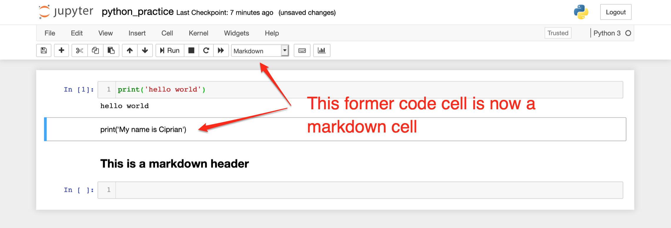 Code cell changed into a markdown cell in Jupyter Notebook