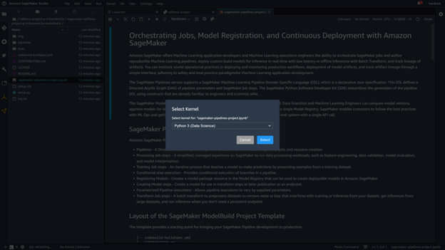 SakeMaker Studio Python3 (Data Science) Kernal