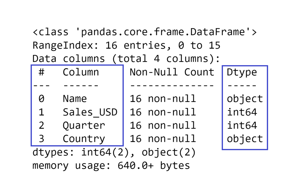 Dataframe using the info() method 