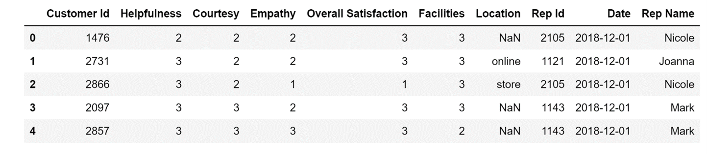 DataFrame display using the head() method