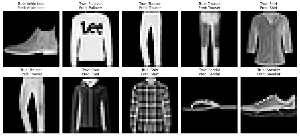 The visualization of the true labels and the model's predictions