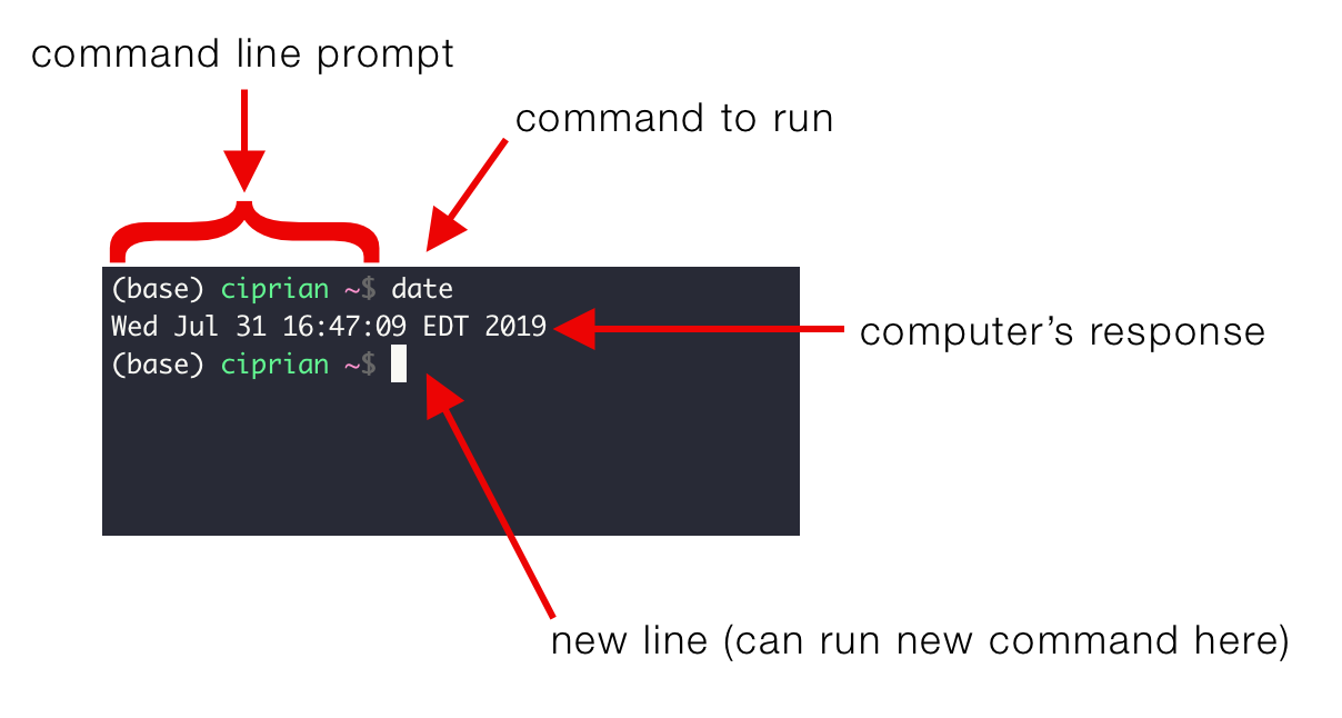 How To Read A File From Command Line In Python