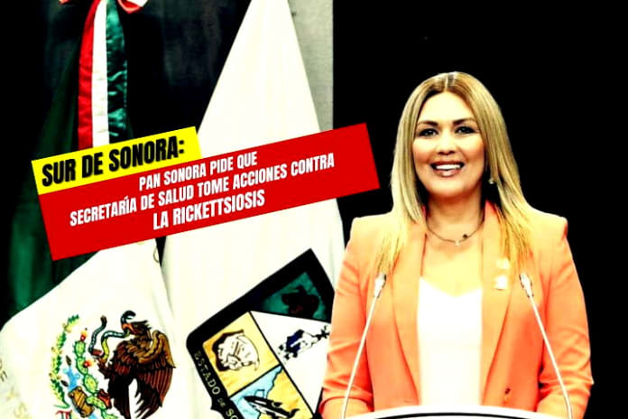 Diputados del PAN piden declarar emergencia sanitaria en el sur de Sonora Diputados del PAN piden declarar emergencia sanitaria en el sur de Sonora