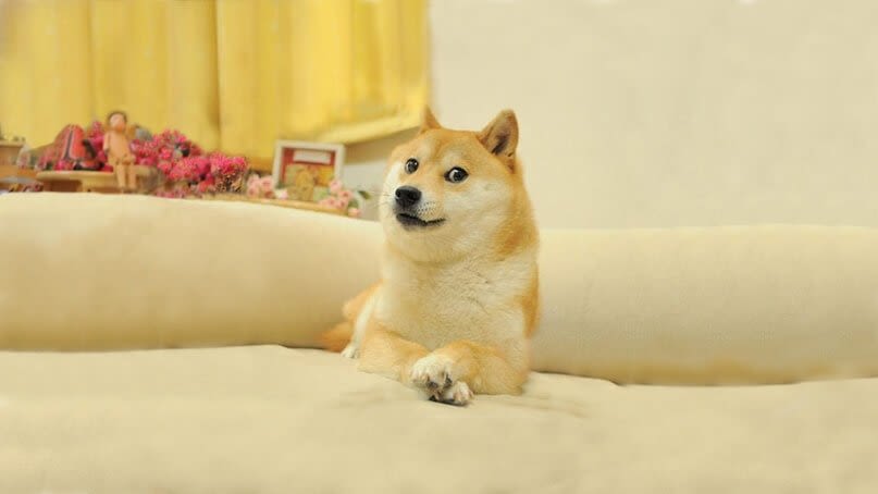 что такое dogecoin история особенности перспективы криптовалюты